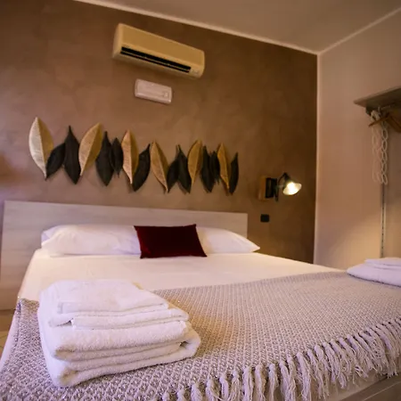 B&B Trepo-2